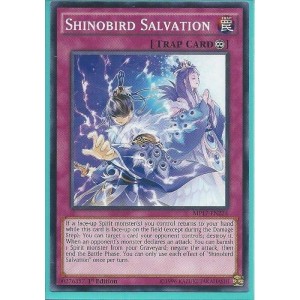 MP17-EN224 Shinobird Salvation - Common